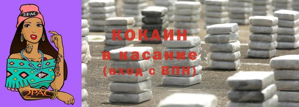 сатива Корсаков