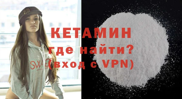индика Козельск