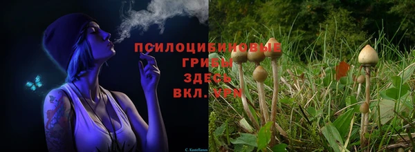 a pvp Балабаново