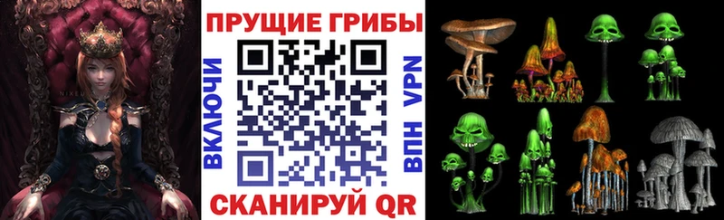 Галлюциногенные грибы Psilocybine cubensis  Бобров 